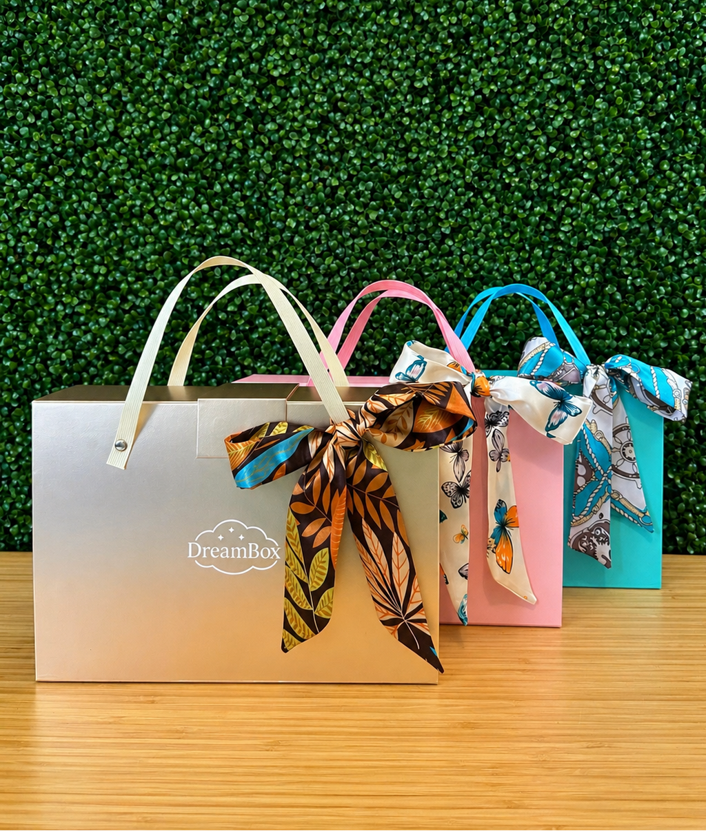 DreamBox Handbag Gift Set