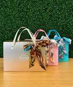 DreamBox Handbag Gift Set